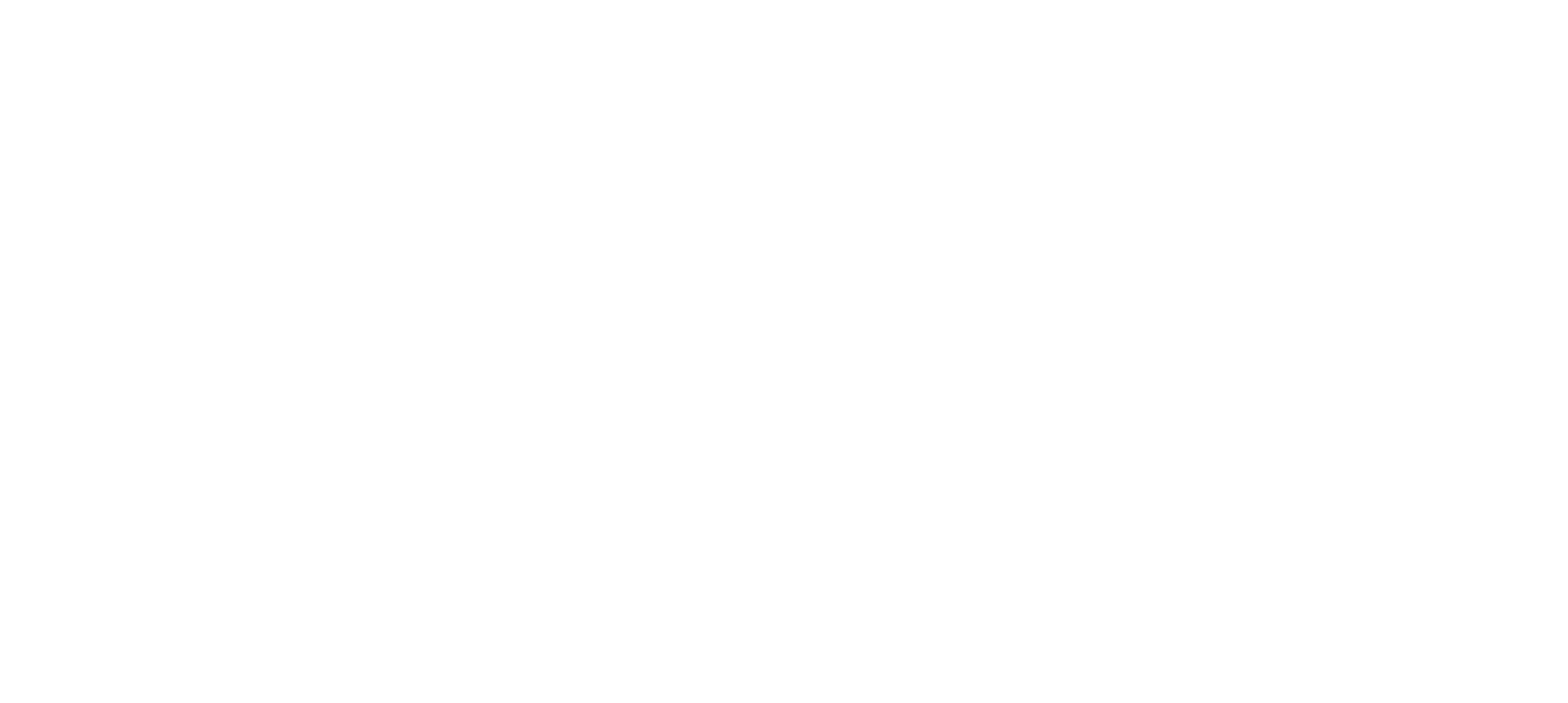 CannonballLogo